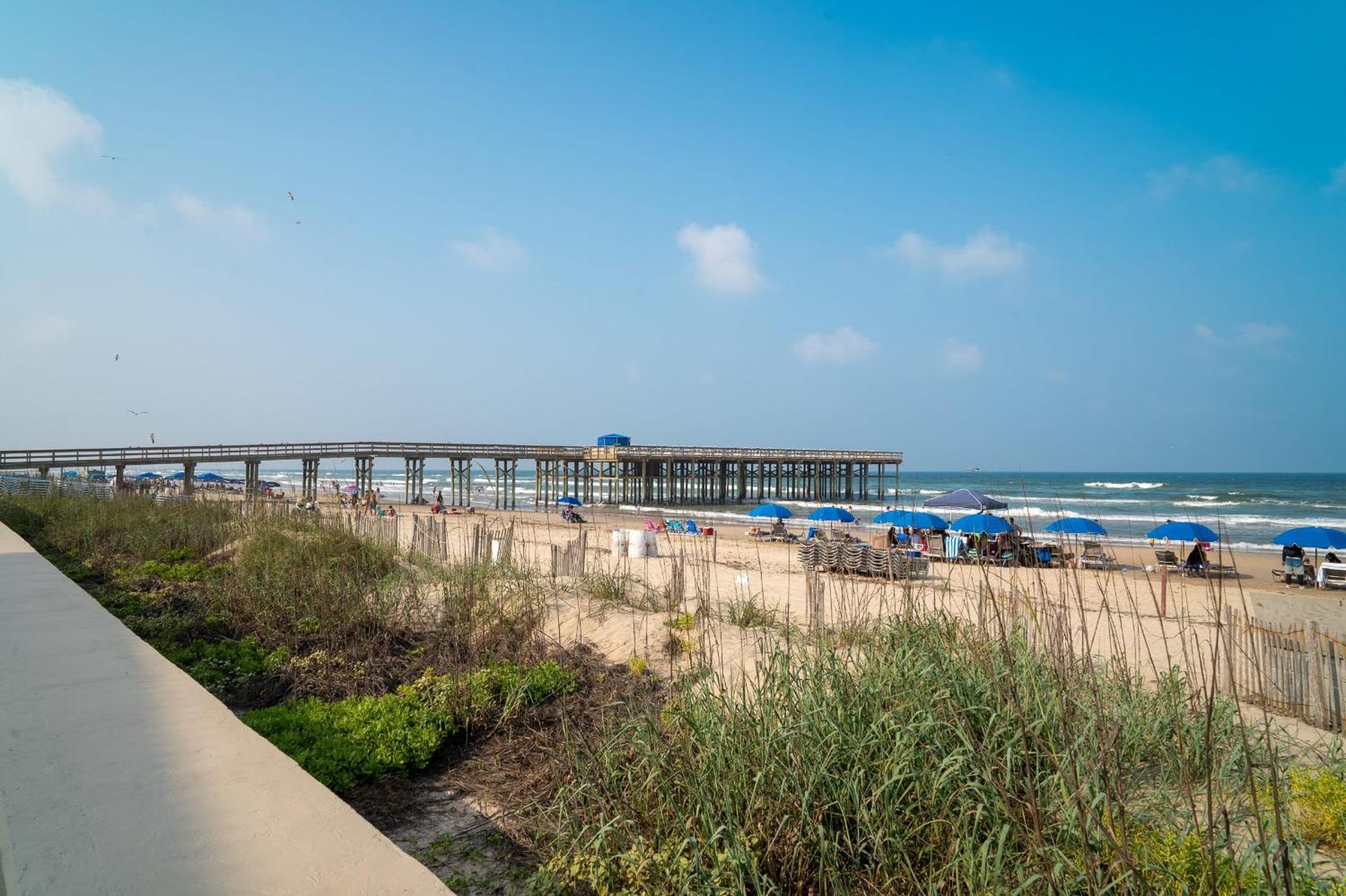 Herons Haven Coastal Elegance With Pool Access 223 South Padre Island Exterior foto